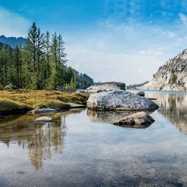 Landscape