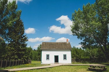 House with trees