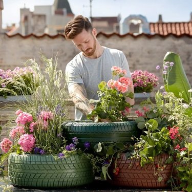 Man gardening