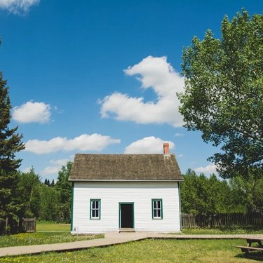 House with trees