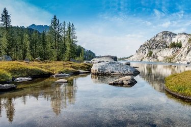 Landscape