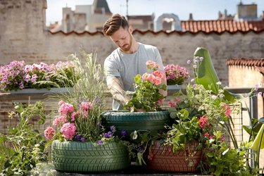 Man gardening